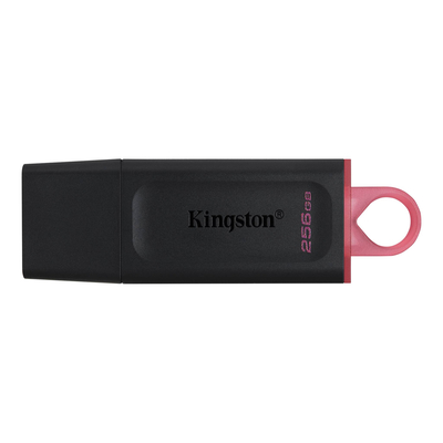 Kingston USB Flash Drive, DTX/256GB,